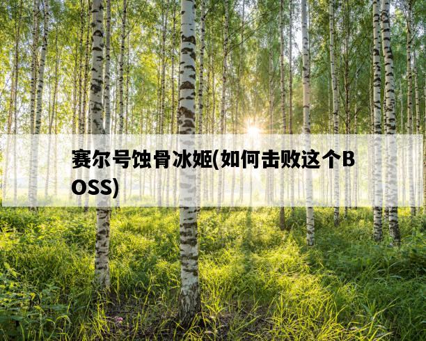 賽爾號蝕骨冰姬，如何擊敗這個BOSS-圖1