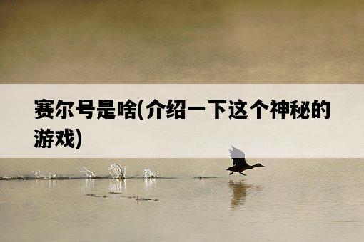 賽爾號是啥，介紹一下這個神秘的游戲-圖1