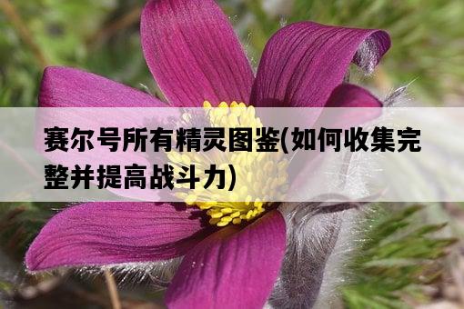 賽爾號所有精靈圖鑒，如何收集完整并提高戰斗力-圖1