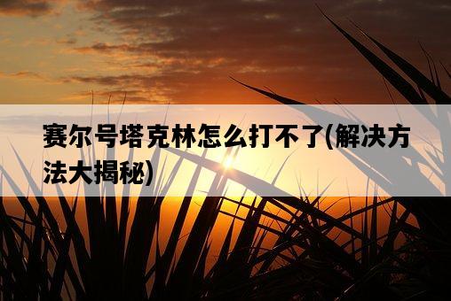 賽爾號塔克林怎么打不了，解決方法大揭秘-圖1