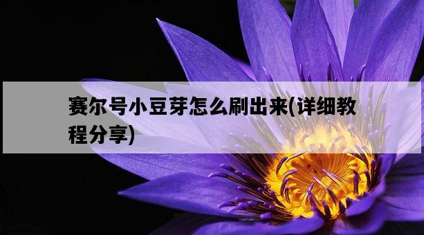 賽爾號小豆芽怎么刷出來，詳細教程分享-圖1