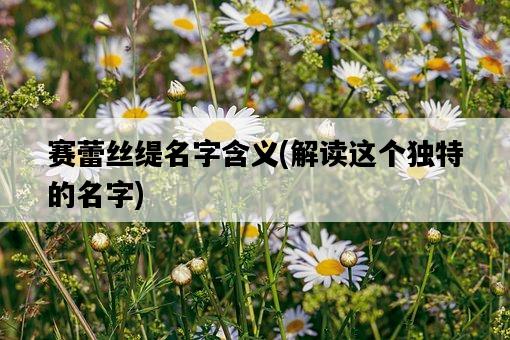 賽蕾絲緹名字含義，解讀這個獨特的名字-圖1