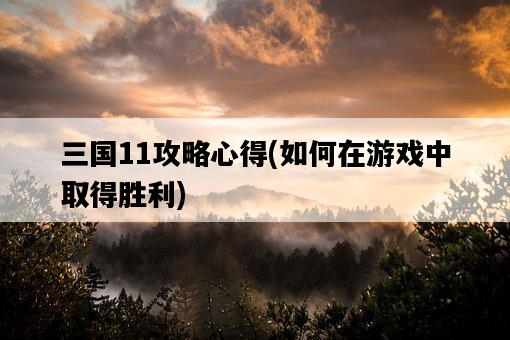三國11攻略心得，如何在游戲中取得勝利-圖1