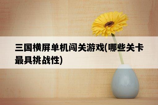 三國橫屏單機闖關游戲,哪些關卡最具挑戰性-圖1 三國橫屏單機闖關游戲,哪些關卡最具挑戰性-圖1