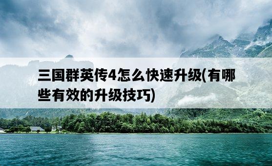 三國群英傳4怎么快速升級，有哪些有效的升級技巧-圖1
