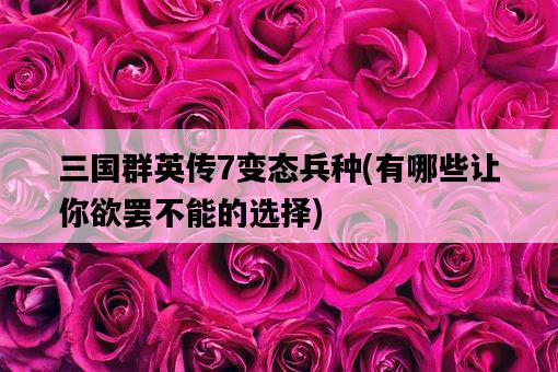 三國群英傳7變態兵種,有哪些讓你欲罷不能的選擇-圖1 三國群英傳7變態兵種,有哪些讓你欲罷不能的選擇-圖1