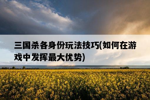 三國殺各身份玩法技巧，如何在游戲中發揮最大優勢-圖1