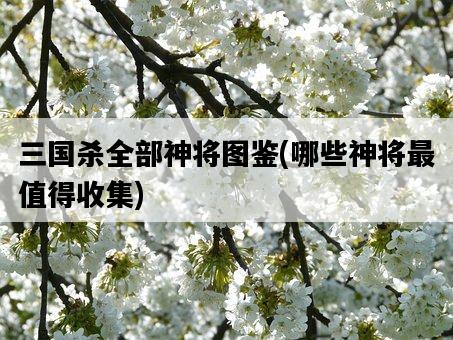 三國殺全部神將圖鑒，哪些神將最值得收集-圖1