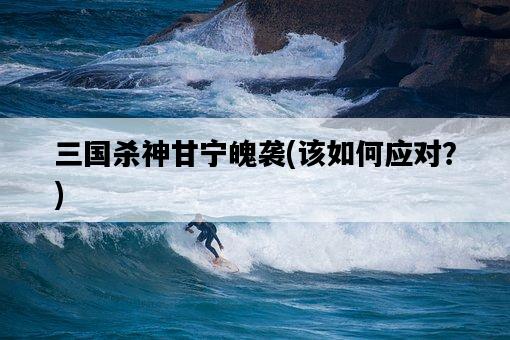 三國殺神甘寧魄襲,該如何應對?-圖1 三國殺神甘寧魄襲,該如何應對?-圖1
