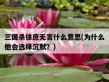 三國殺徐庶無言什么意思，為什么他會選擇沉默？-圖1