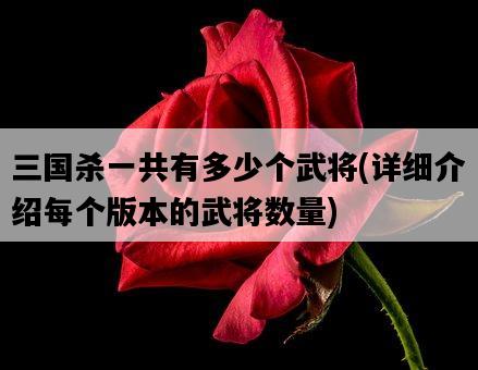 三國殺一共有多少個武將，詳細介紹每個版本的武將數量-圖1