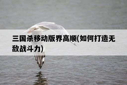 三國殺移動版界高順,如何打造無敵戰斗力-圖1 三國殺移動版界高順,如何打造無敵戰斗力-圖1