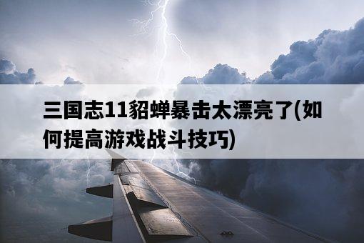 三國志11貂蟬暴擊太漂亮了,如何提高游戲戰斗技巧-圖1 三國志11貂蟬暴擊太漂亮了,如何提高游戲戰斗技巧-圖1