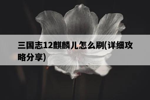 三國志12麒麟兒怎么刷，詳細攻略分享-圖1