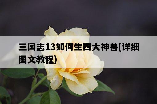 三國志13如何生四大神獸，詳細圖文教程-圖1