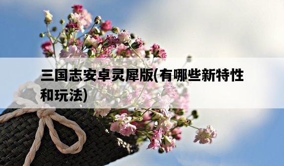 三國志安卓靈犀版，有哪些新特性和玩法-圖1