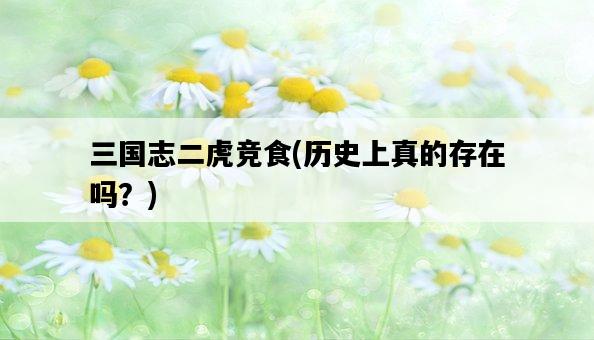 三國志二虎競食，歷史上真的存在嗎？-圖1