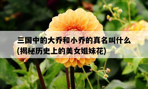 三國中的大喬和小喬的真名叫什么,揭秘歷史上的美女姐妹花-圖1 三國中的大喬和小喬的真名叫什么,揭秘歷史上的美女姐妹花-圖1