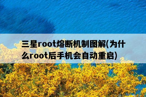 三星root熔斷機制圖解,為什么root后手機會自動重啟-圖1 三星root熔斷機制圖解,為什么root后手機會自動重啟-圖1