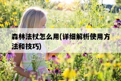 森林法杖怎么用,詳細解析使用方法和技巧-圖1 森林法杖怎么用,詳細解析使用方法和技巧-圖1