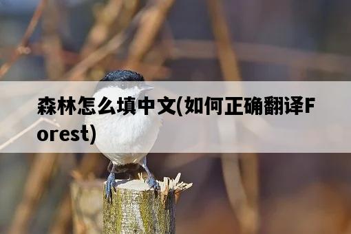 森林怎么填中文，如何正確翻譯Forest-圖1