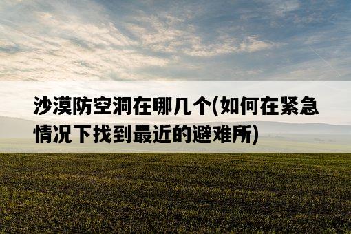 沙漠防空洞在哪幾個,如何在緊急情況下找到最近的避難所-圖1 沙漠防空洞在哪幾個,如何在緊急情況下找到最近的避難所-圖1