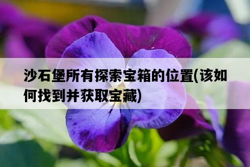 沙石堡所有探索寶箱的位置，該如何找到并獲取寶藏-圖1