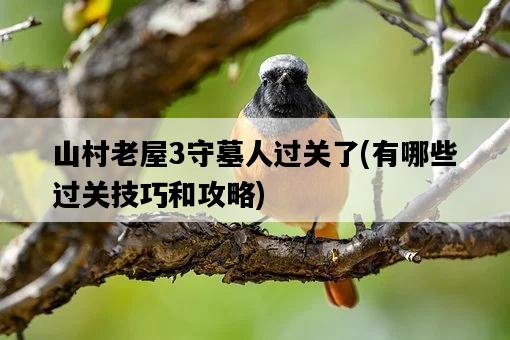 山村老屋3守墓人過關了，有哪些過關技巧和攻略-圖1