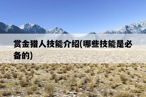 賞金獵人技能介紹,哪些技能是必備的-圖1 賞金獵人技能介紹,哪些技能是必備的-圖1