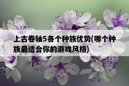 上古卷軸5各個種族優勢，哪個種族最適合你的游戲風格-圖1