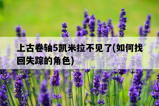 上古卷軸5凱米拉不見了，如何找回失蹤的角色-圖1