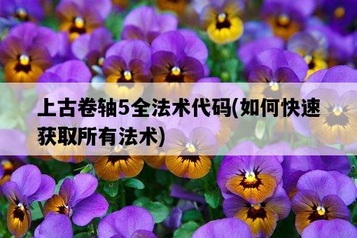 上古卷軸5全法術代碼，如何快速獲取所有法術-圖1