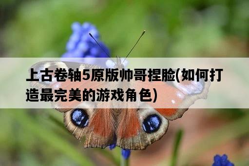 上古卷軸5原版帥哥捏臉,如何打造最完美的游戲角色-圖1 上古卷軸5原版帥哥捏臉,如何打造最完美的游戲角色-圖1