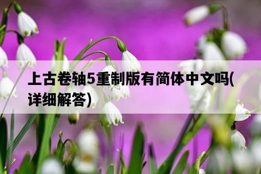 上古卷軸5重制版有簡體中文嗎，詳細解答-圖1