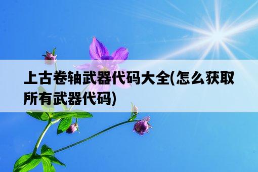 上古卷軸武器代碼大全，怎么獲取所有武器代碼-圖1