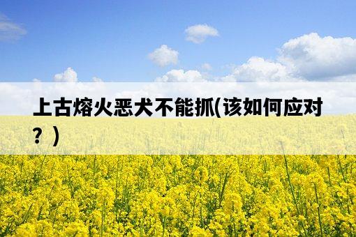 上古熔火惡犬不能抓,該如何應對?-圖1 上古熔火惡犬不能抓,該如何應對?-圖1