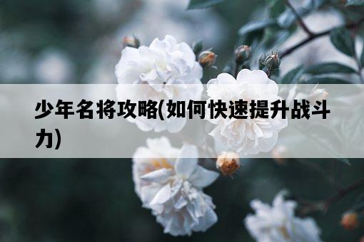 少年名將攻略，如何快速提升戰斗力-圖1