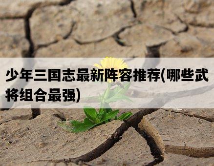 少年三國志最新陣容推薦，哪些武將組合最強-圖1
