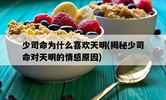 少司命為什么喜歡天明，揭秘少司命對天明的情感原因-圖1