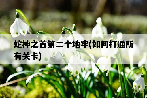 蛇神之首第二個地牢，如何打通所有關卡-圖1