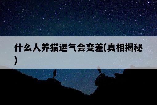 什么人養貓運氣會變差，真相揭秘-圖1