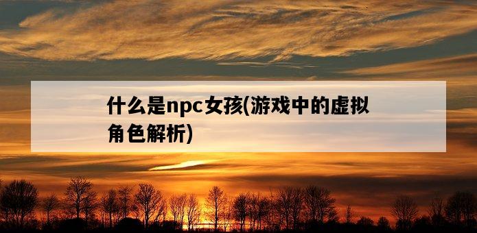 什么是npc女孩，游戲中的虛擬角色解析-圖1