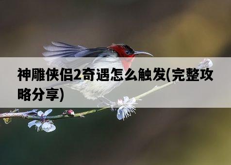 神雕俠侶2奇遇怎么觸發,完整攻略分享-圖1 神雕俠侶2奇遇怎么觸發,完整攻略分享-圖1