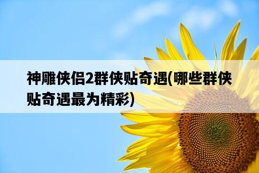 神雕俠侶2群俠貼奇遇，哪些群俠貼奇遇最為精彩-圖1