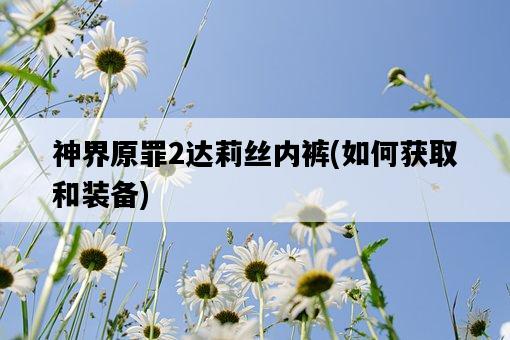 神界原罪2達莉絲內褲，如何獲取和裝備-圖1