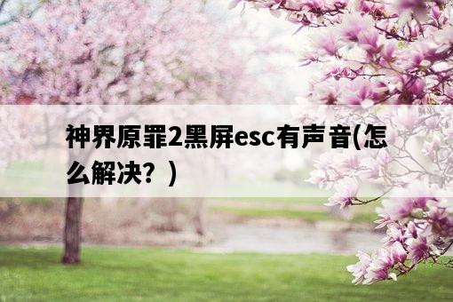 神界原罪2黑屏esc有聲音，怎么解決？-圖1