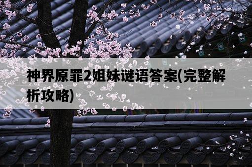 神界原罪2姐妹謎語答案，完整解析攻略-圖1