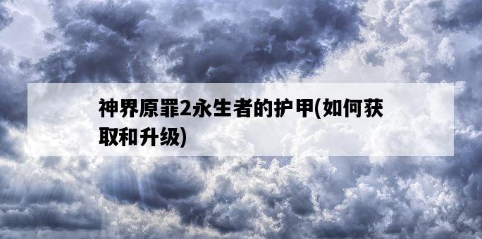 神界原罪2永生者的護甲，如何獲取和升級-圖1