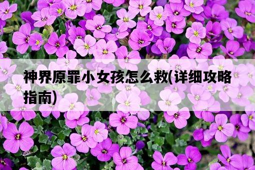 神界原罪小女孩怎么救,詳細攻略指南-圖1 神界原罪小女孩怎么救,詳細攻略指南-圖1
