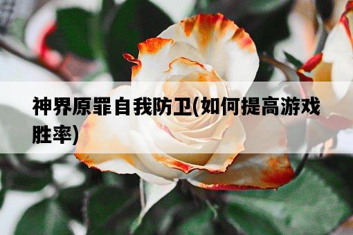 神界原罪自我防衛，如何提高游戲勝率-圖1
